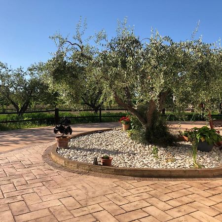 B&B Villa Eden Ortona Exterior photo